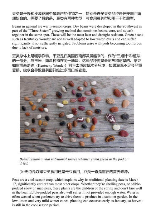 在干旱、沙漠与干燥时节种植蔬菜（十周年纪念版） 莫琳·吉尔默 (中英对照电子书)
