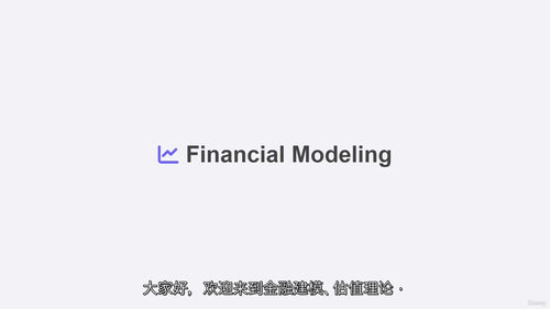财务建模理论：估值与预测  (中文字幕英文视频教程)