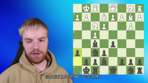 黑棋主动出击:本纳布局实战课程 (中文字幕英文视频教程)
