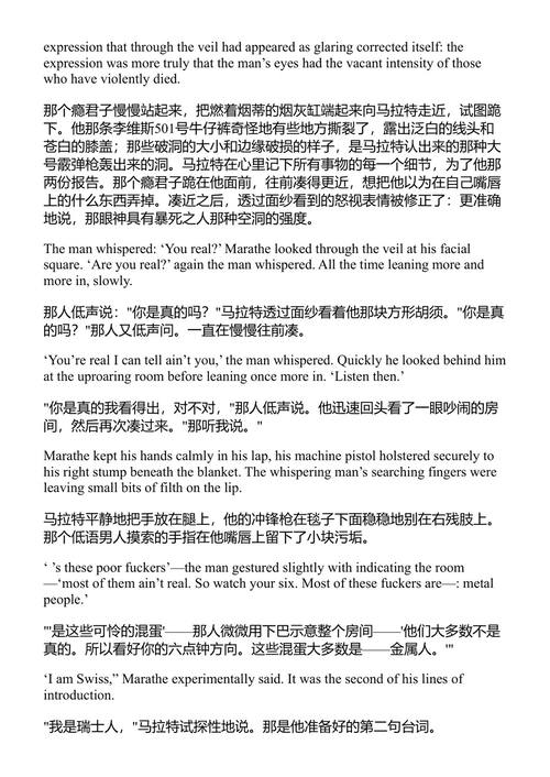 无尽的玩笑 大卫·福斯特·华莱士 (中英对照电子书)