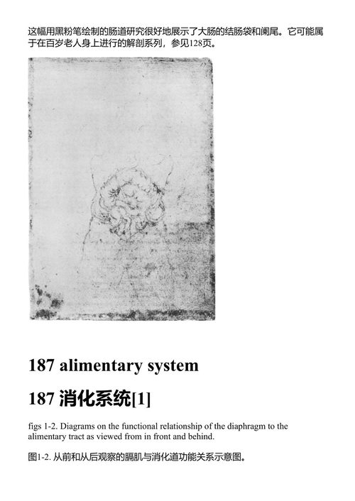 达芬奇论人体 列奥纳多·达·芬奇 (中英对照电子书)