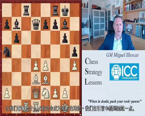 国际大师米格尔・伊莱斯卡斯象棋策略精讲课程 (中文字幕英文