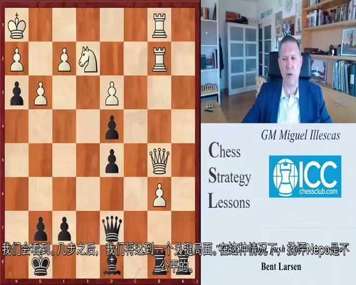 国际大师米格尔・伊莱斯卡斯象棋策略精讲课程 (中文字幕英文