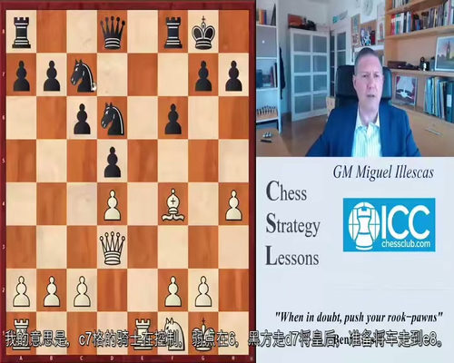 国际大师米格尔・伊莱斯卡斯象棋策略精讲课程 (中文字幕英文