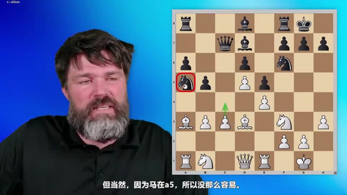 [中文配音]国际象棋结构：大师指南