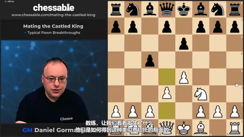 [中文配音]王城攻坚术：围杀城堡国王的实战策略