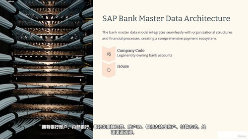 SAP FICO财务会计与控制完全指南 (英文课程中文字幕)