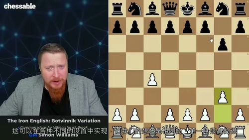 Iron English变例视频教程