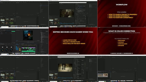 Adobe Premiere Pro零基础入门：从零开始学视频剪辑 (英文课程中文字幕)
