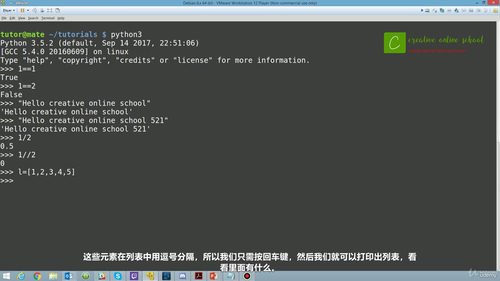 从零开始学Python：新手入门实战课 (英文课程中文字幕)
