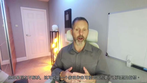 ISO内部审核员课程 (中文字幕英文视频教程)