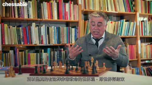 [中字] 国际象棋巅峰对决：与世界冠军的棋局对话（中文字幕英
