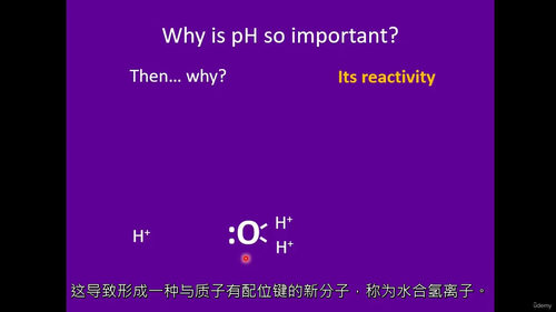 [中字] 人体 pH 调节全解析（中文字幕英文视频教程）