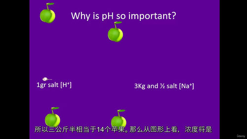 [中字] 人体 pH 调节全解析（中文字幕英文视频教程）
