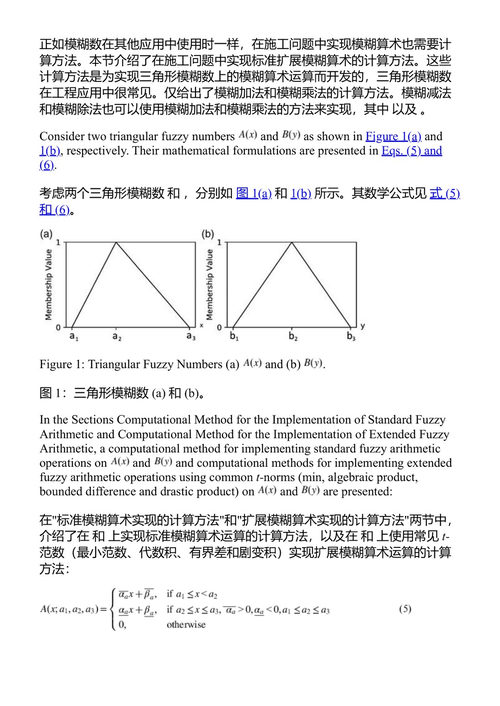 建筑工程与管理中的模糊混合计算:理论与应用 阿米娜·罗宾逊·法耶克 (中英对照电子书)