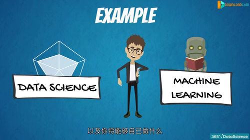 2025年完整数据科学训练营（2024年12月）  (中文字