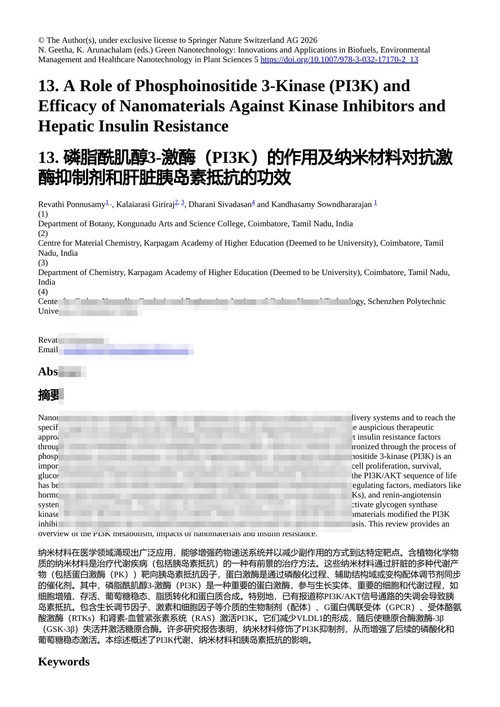 绿色纳米技术：生物燃料、环境管理与医疗保健的创新与应用 （中英对照电子书）