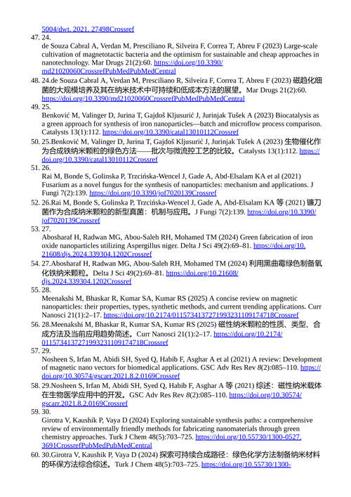 绿色纳米技术：生物燃料、环境管理与医疗保健的创新与应用 （中英对照电子书）