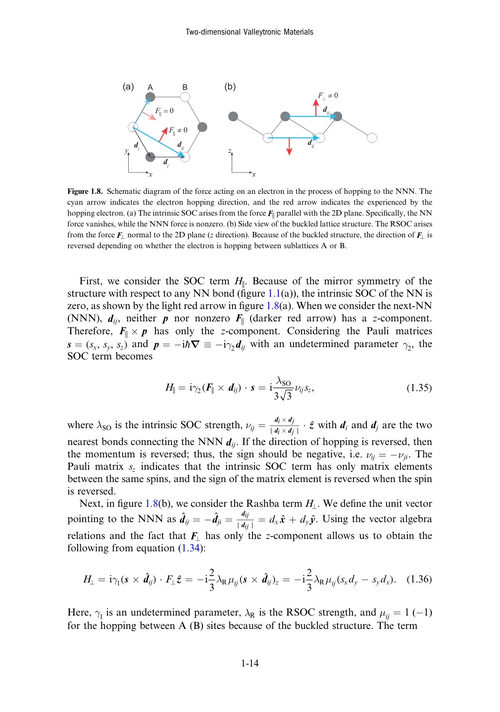 二维谷电子学材料:从原理到器件应用 (英文电子书)