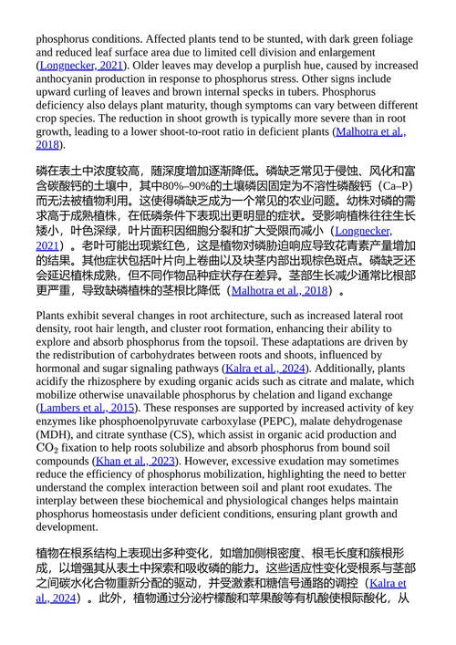 农业中的磷管理策略与资源再利用 (中英对照电子书)