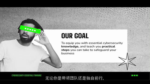 小企业主网络安全基础 (中文字幕英文视频教程)