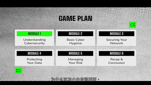 小企业主网络安全基础 (中文字幕英文视频教程)