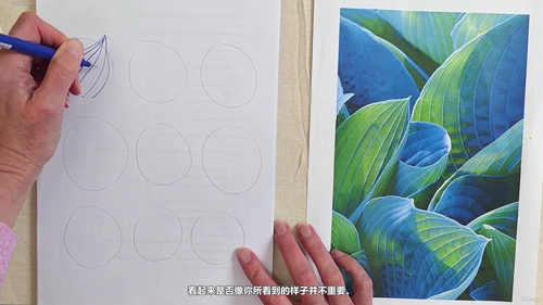 专业人士正念创造力:初学者之心 (英文课程中文字幕)