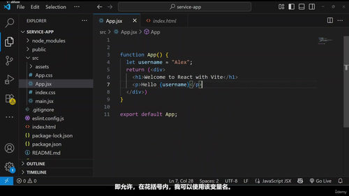 React实战：用项目驱动的方式学会构建服务预约应用 (英文课程中文字幕)