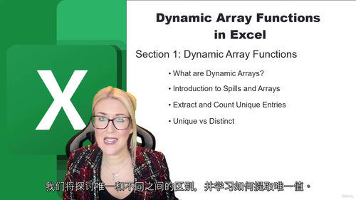 [中字] Excel 动态数组函数实战精讲：从基础到高阶的数