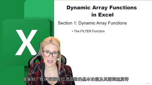 [中字] Excel 动态数组函数实战精讲：从基础到高阶的数