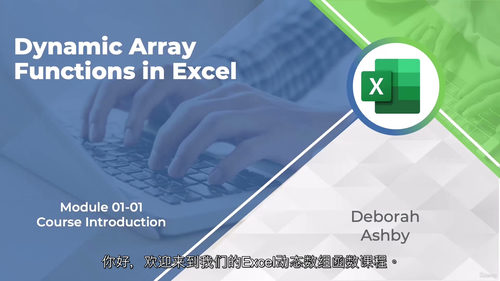 [中字] Excel 动态数组函数实战精讲：从基础到高阶的数