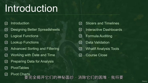 [中字] Excel 数据清洗与格式化（中级）：为分析赋能（