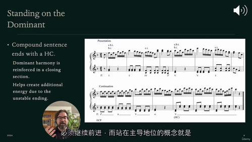 作曲家曲式与分析(第三部分)—— 音乐变奏(中文字幕英文视频