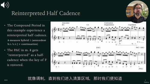 作曲家曲式与分析(第三部分)—— 音乐变奏(中文字幕英文视频