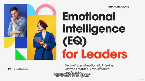 [中字] 领导力情商（EQ）课程（中文字幕英文视频教程）