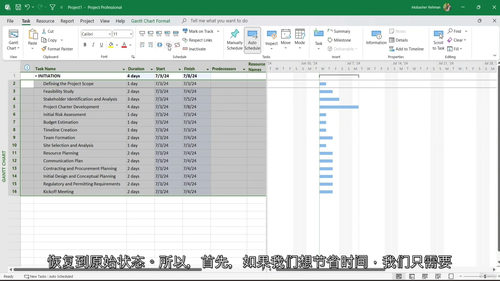 [中字] 高级 Microsoft Project 桌面与在