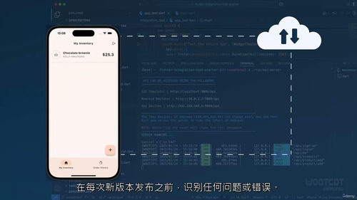 [中字] 模型驱动的 Flutter 集成测试实战大师课（中