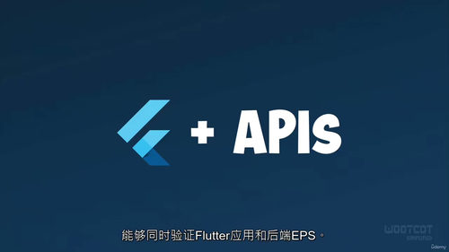 [中字] 模型驱动的 Flutter 集成测试实战大师课（中
