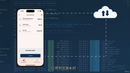 [中字] 模型驱动的 Flutter 集成测试实战大师课（中