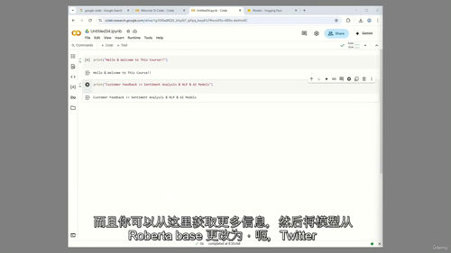 [中字] 实用实验课 —— 销售与客服领域 NLP 人工智能