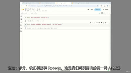 [中字] 实用实验课 —— 销售与客服领域 NLP 人工智能
