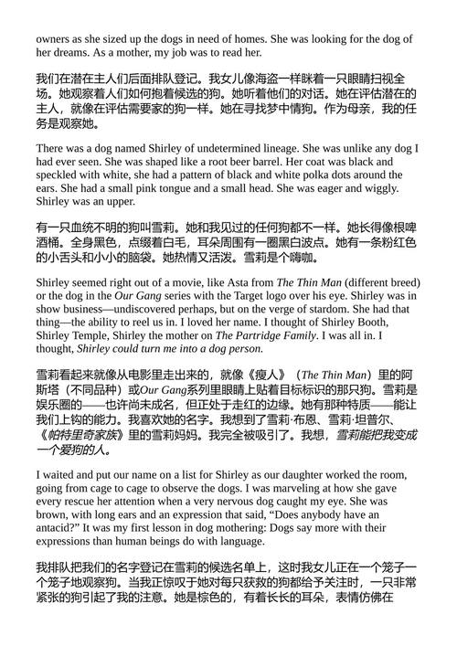 世上最好的狗:关于爱 艾丽斯·霍夫曼 (中英对照电子书)