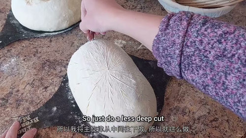 从零开始的新手 sourdough 面包制作课程（中文字幕英
