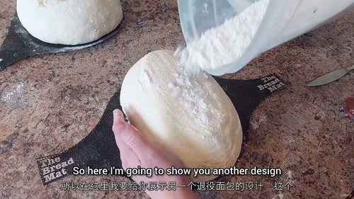 从零开始的新手 sourdough 面包制作课程（中文字幕英