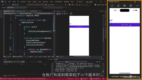.NET 9 MAUI 跨平台开发增强特性实战课程（中文字幕