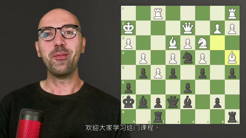 国际象棋实战技巧进阶指南  (中文字幕英文视频教程)