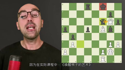 国际象棋实战技巧进阶指南 (中文字幕英文视频教程)