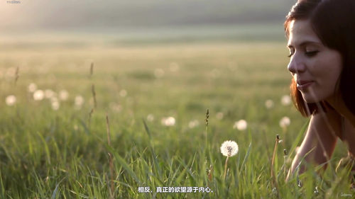 摆脱他人的期待:找回真正的自己 (英文课程中文字幕)