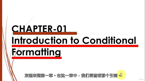 [中字] 微软 Excel 条件格式高级应用课程（中文字幕英