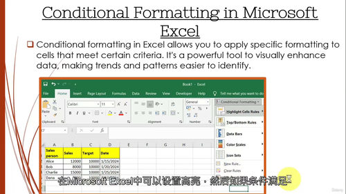 [中字] 微软 Excel 条件格式高级应用课程（中文字幕英